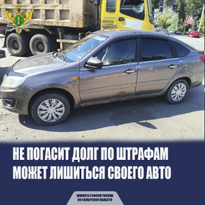 Житель Самарской области неоднократно нарушал ПДД и задолжал 215 тысяч рублей штрафов