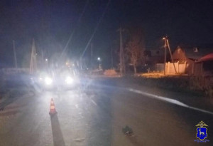 В Чапаевске погиб пешеход