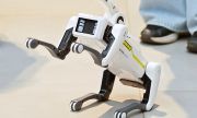 Программы по IT и робототехнике появляются в кружках и секциях в России