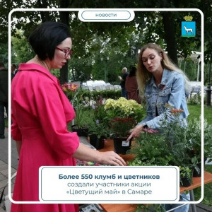 В Самаре подвели итоги акции «Цветущий май» — более 550 клумб и цветников