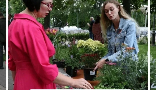 В Самаре подвели итоги акции «Цветущий май» — более 550 клумб и цветников