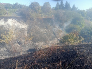 В Самарской области горели дача и трава на 200 квадратных метров