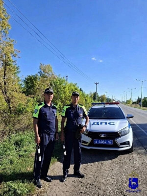 В Самарской области сотрудники Госавтоинспекции предотвратили трагедию, своевременно оказав помощь