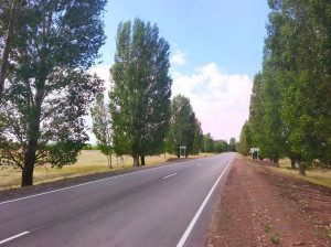 В Приволжском районе ввели в эксплуатацию дорогу до села Кашпир