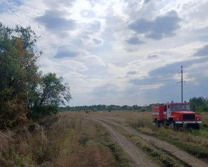 5 сентября лесники обнаружили возгорание лесополосы в районе поселка Субботинский.
