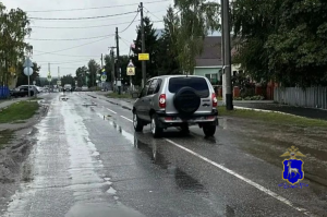 Женщина попала под машину в Кинель-Черкасском районе
