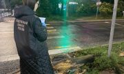 В Самаре возбуждено уголовное дело по факту травмирования девочки упавшим деревом
