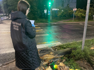 8 сентября вечером около пешеходного перехода на улице Клинической в Самаре упало дерево, в результате чего 13-летняя девочка получила телесные повреждения.