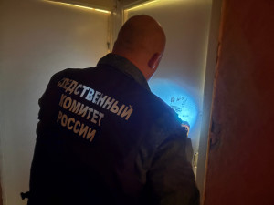 В Отрадном возбуждено уголовное дело в отношении 61-летнего местного жителя, подозреваемого в убийстве.