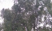 16 сентября в регионе дождь, местами гроза, до  +23°С