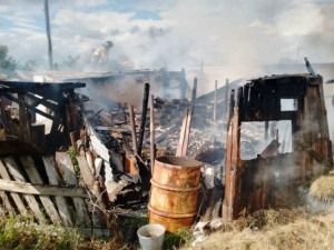 В Волжском районе оперативно ликвидировали возгорание надворных построек