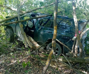 В Похвистневском районе Toyota съехала в кювет, пострадал человек