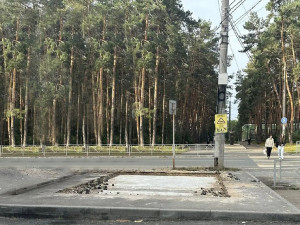 Сызранка незаконно заняла часть земли под павильон