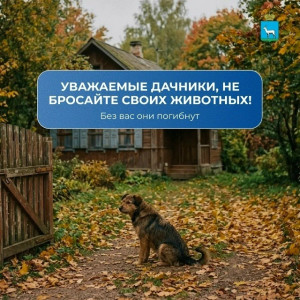 Самарцев призывают не бросать животных на дачах