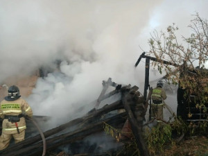 Пожар в Борском районе: горел дом