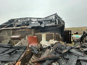 В Похвистневском районе на площади 90 кв. м горели надворные постройки