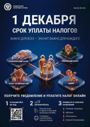 Срок уплаты налогов для физических лиц - 1 декабря