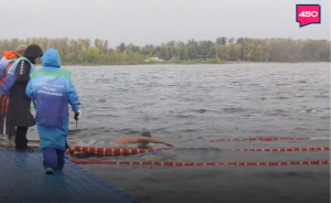 На пляже Полевого спуска Волги прошел Чемпионат Самарской области по зимнему плаванию.