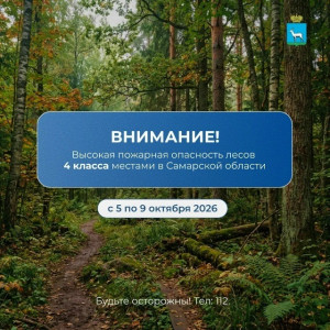 С 5 по 9 октября в Самарской области местами объявлена высокая пожарная опасность лесов 4 класса.