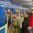 Дептранс Самары прокомментировал кадры с давкой в городском метро