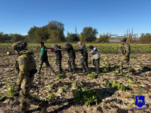 В Самарской области проводится второй этап комплексной оперативно-профилактической операции «Нелегал – 2026».