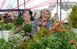 9 октября в Самаре на пересечении улиц Киевской и Тухачевского стартует «Всероссийская ярмарка»