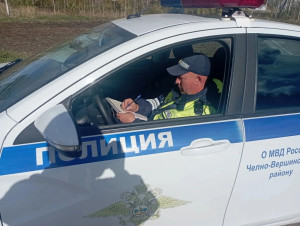 Пьяный водитель  Челно-Вершинском районе предложил ДПС взятку - машину дров