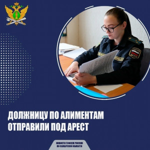 В Тольятти мать-алиментщица попала под арест