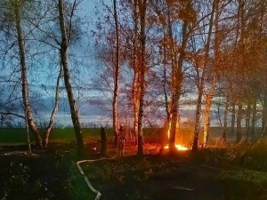 В Челно-Вершинском районе произошло возгорание сухой травы