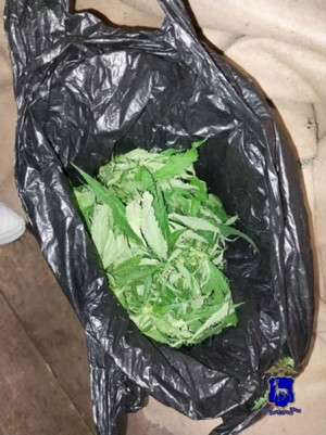 В августе текущего года сотрудникам уголовного розыска по Сергиевскому району поступила информация о возможной причастности ранее судимого 41-летнего местного жителя к незаконному обороту наркотических средств.