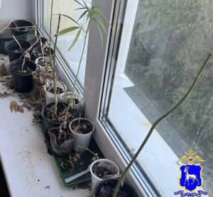 В Самаре в суд направлено уголовное дело, возбужденное в отношении местного жителя, задержанного за незаконный оборот наркотиков.